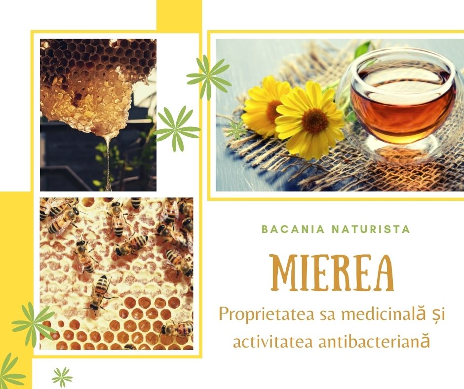 Mierea - proprietatea sa medicinală și activitatea antibacteriană